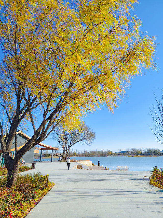 初冬北京，碧水蓝天美景好治愈