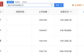 智己汽车申请大模型商标图片