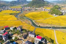 连天金叶无穷毕 烟粮堆里映笑颜 ——记致富带头人李万辉图片