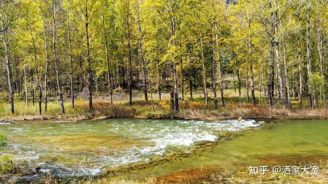如何描述“北京的秋”？这是一期有温度的推送……