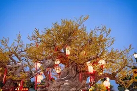 传统故事+创新诠释，主题乐园里“年味有点浓”图片