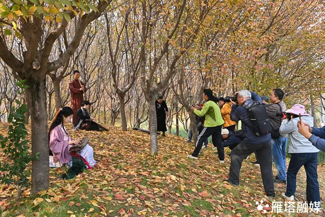 枫红映雁塔！一场枫叶与艺术的邂逅