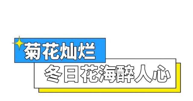 航旅融合 | 抽免费机票，来三明欣赏不一样的初冬景色！