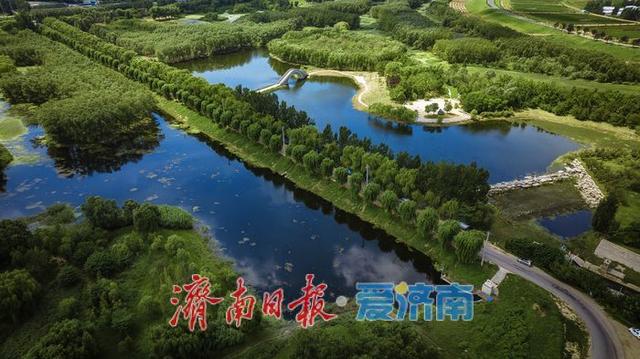 一年四季 泉在济南丨济南玉符河：水清岸绿，绘就生态新图景