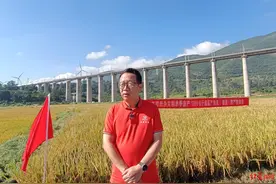 袁隆平“超级稻”单季亩产1251.5公斤创纪录 对话专家：攻关5年，这是对袁老的告慰图片