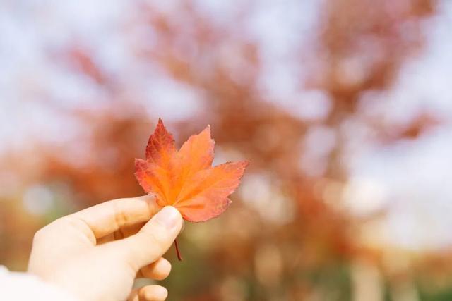 普陀·遇见新视角｜普陀这两个公园开启色彩盛宴，每一帧都是壁纸级大片