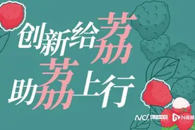 荔枝大年来了！顺丰首开香港荔枝专线跨境当日达，无人机上岗图片