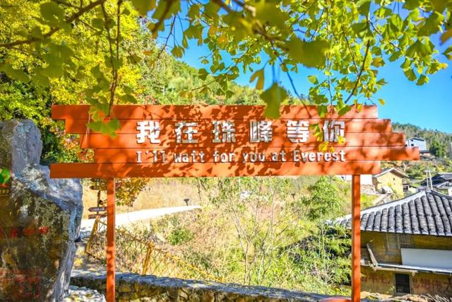 现存数量最多！赏银杏就来珠峰村