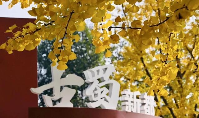 还起什么标题，美不美你们直接看！