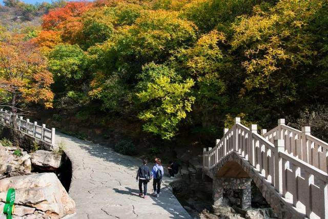 九九重阳，梨木台邀您共赴一场秋日敬老之约