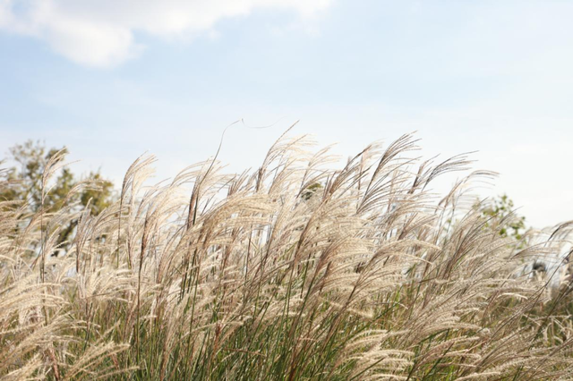 从站台到风景→无锡冬日最美交通线