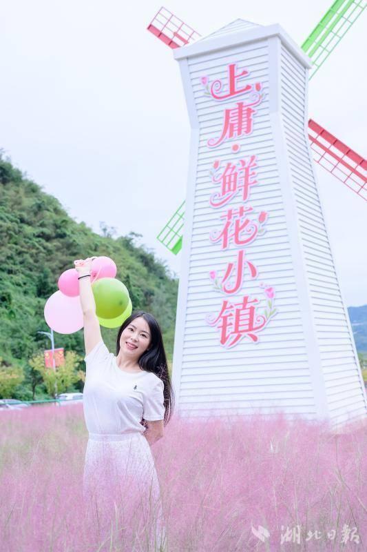 竹山县上庸镇粉黛乱子草丛成热门打卡地