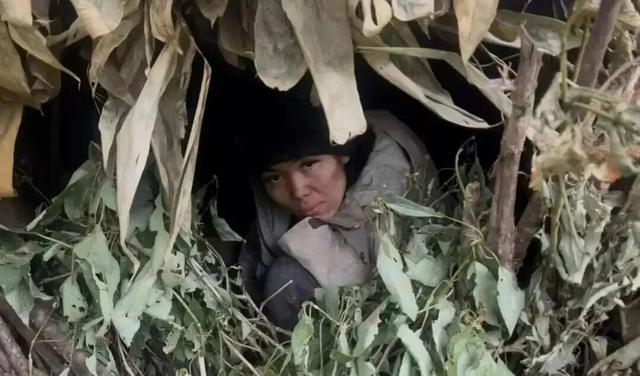 荒野求生37天，全网最狠女人还是倒下了！