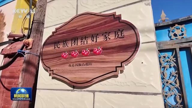新思想引领新征程丨像石榴籽一样紧紧抱在一起