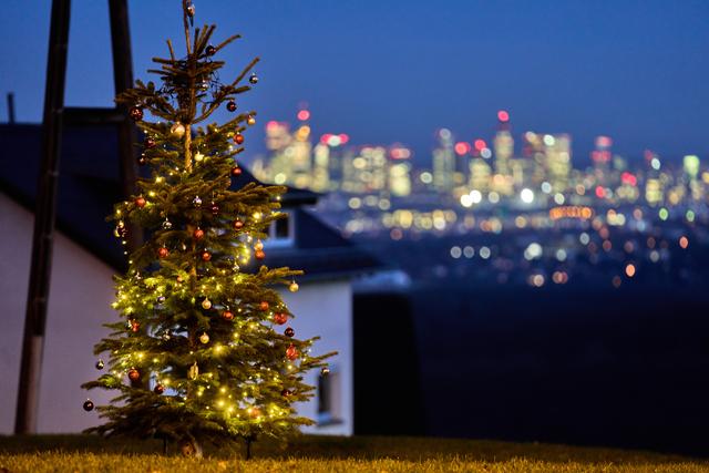 （外代一线）德国冬日掠影