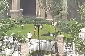 成都被狗咬伤女童家人众筹200万惹争议 律师称众筹不影响狗主人赔偿图片