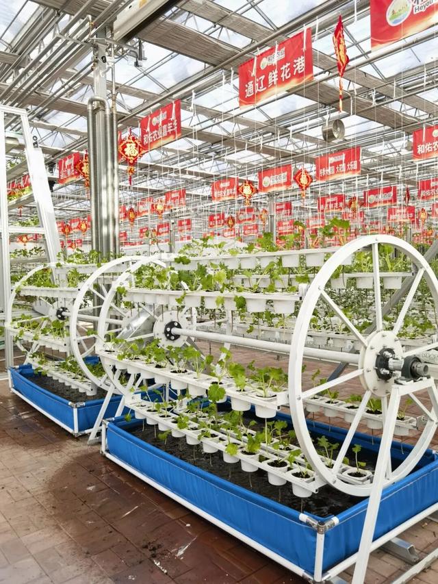 通辽历时3年打造打卡圣地！10月1日开幕！门票免费送！