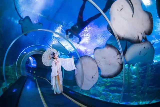 一张门票一日游，打包青岛冬日海底+海上精华的路线攻略来啦