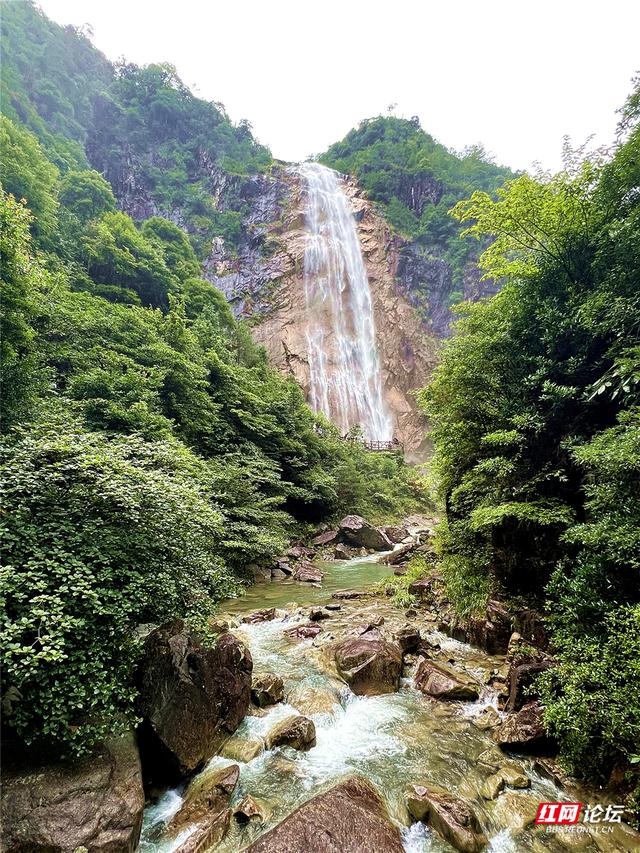 何必去远方？在桂东，我遇见23℃的夏天