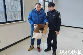 市民海边救助黑头“怪鸟”，竟是国家一级保护动物图片