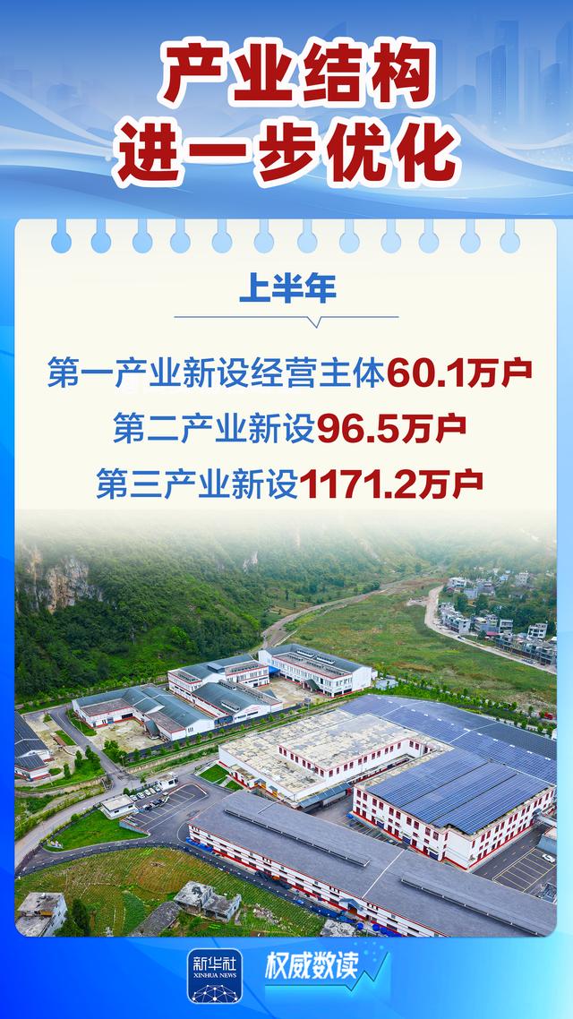 上半年多种经营主体稳定增长