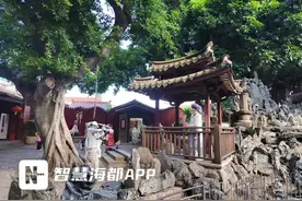 持证“旅拍”，对不文明说“不”！泉州开元寺发了361本临时登记证图片