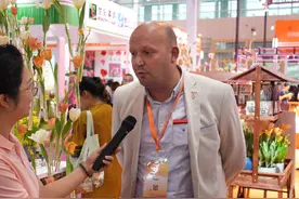 荷兰花卉展商：郁金香见证荷中两国友谊 创造了合作机遇图片