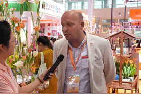 荷兰花卉展商：郁金香见证荷中两国友谊 创造了合作机遇图片