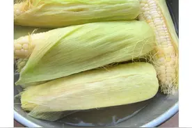 胶东半岛 | 秋冬囤货忙图片