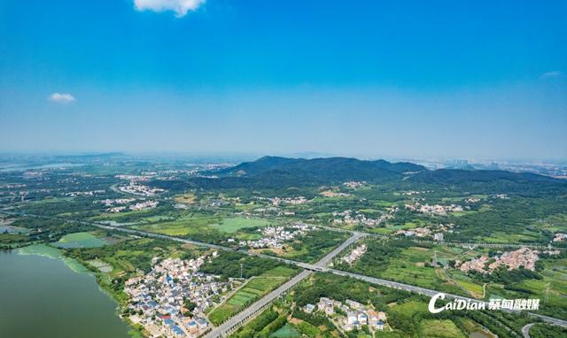 武汉蔡甸藏着一幅“生态画卷”：嵩阳山的秘密，你知道多少？