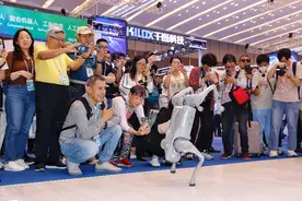 机器人“看呆”采购商，广交会展现“中国智造”魅力图片