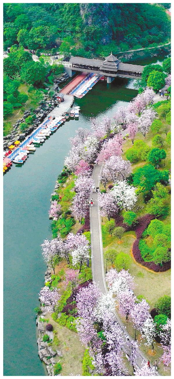 玩转2025桂林艺术节 开启一场别样的艺术漫游