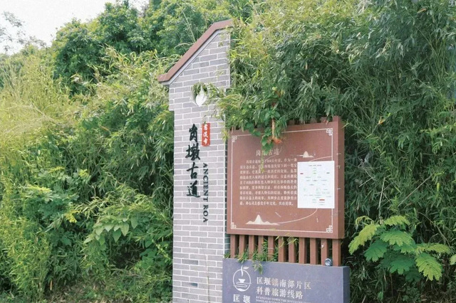 完赛后去哪？慈溪这些宝藏地等你打卡