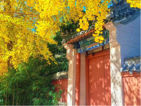 畅游青岛 文明相伴 | “山海奇观·大道崂山”秋冬游推荐线路发布！