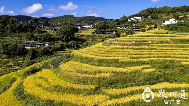 巨出片！趁现在，来泉州追一场秋……