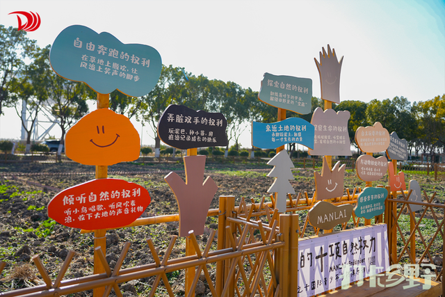 打卡乡野丨新年第一站，去上海离宇宙最近的村子，仰望星空，脚踏田野，开启元气新年