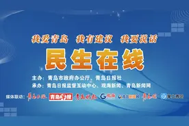 国家税务总局青岛市税务局总会计师王军做客民生在线：升级后的新电子发票系统已惠及全市99.19%的纳税人图片