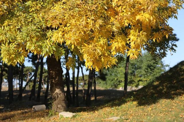 漫谈圆明 | 我和圆明园的十余年