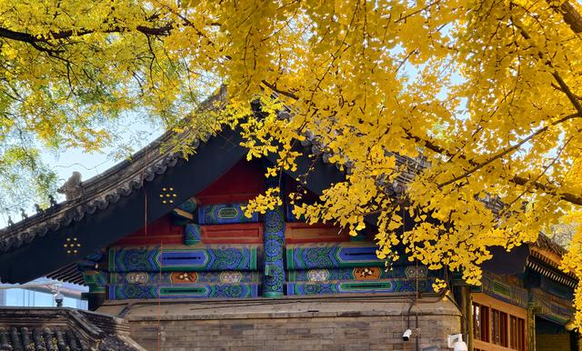 半城古典，半城浪漫！一叶知秋，一框载古今