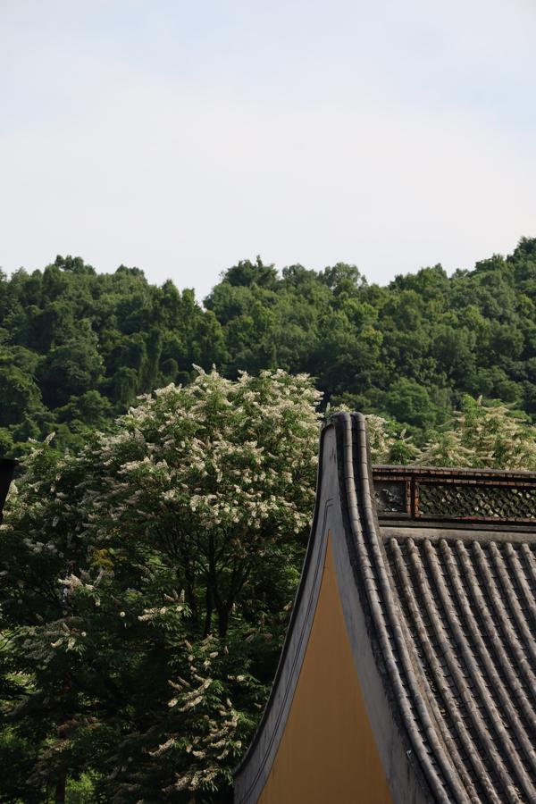 灵隐寺免门票后，我建议你去看看这些地方