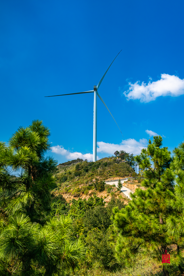 想追风，去团风！