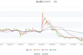 南山智尚：2024年上半年净利润8226.68万元 同比增长6.5%图片