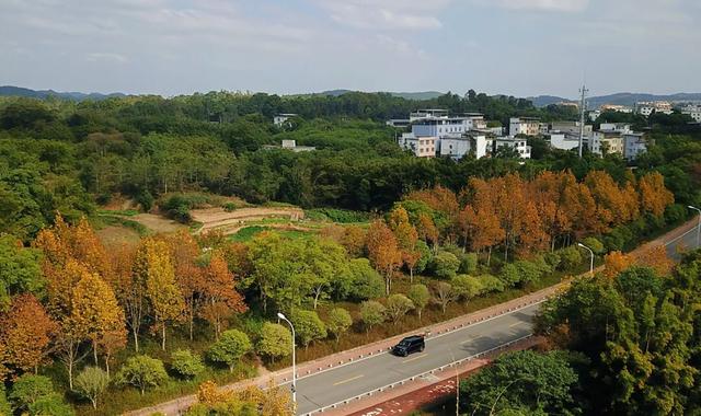 WOW，柳州超多赏秋打卡地，随手出大片！