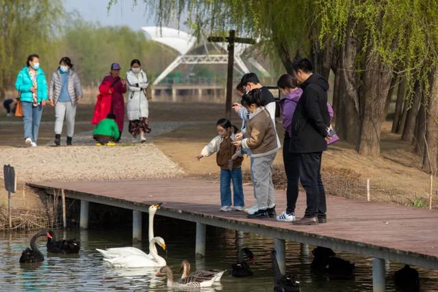 速冲，仅需1张年卡畅游台儿庄，解锁十大权益