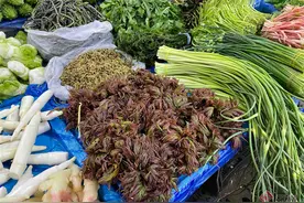 春意盎然 特色野菜与食用鲜花在昆明各农贸市场新鲜上市图片