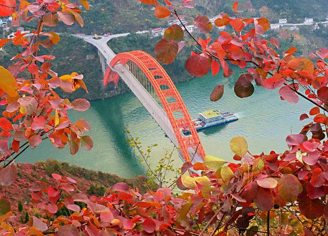 可玩、可感、可参与！第十九届重庆长江三峡（巫山）国际红叶节将于11月22日启幕