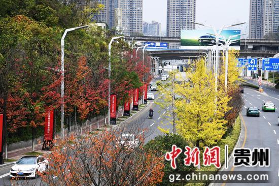 贵阳：初冬时节好风景