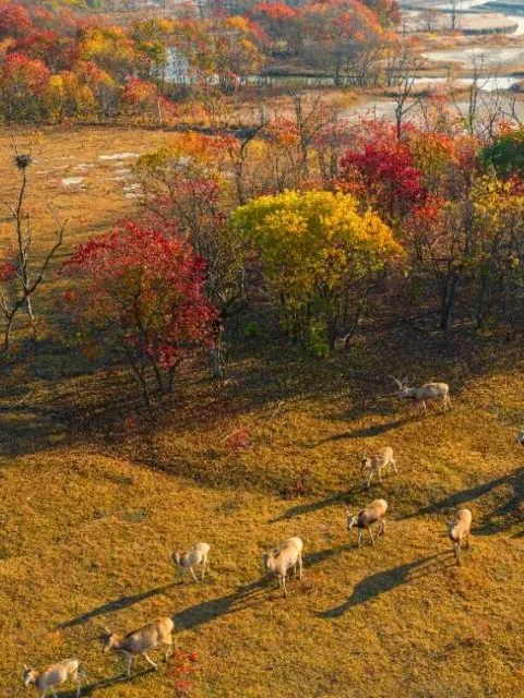 组图|黄海1号，331公里的秋日画廊