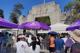 清华北大开放暑期校园参观后：预约名额1分钟被抢光，收费8000元的研学团只能在门口拍照图片