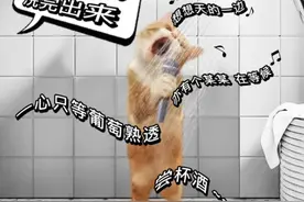 如何选购安全可靠家用燃气热水器？看这里→图片